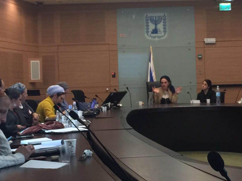 הרצאה בכנסת