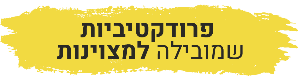 פרודקטיביות שמובילה למצוינות